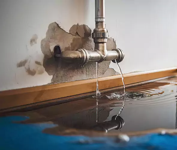Professional Water Damage Restoration Experts in Flower Mound, TX — Fast, Reliable & Certified