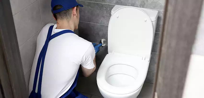 Toilet Lid Replacement in Flower Mound